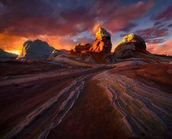 De Marc Adamus