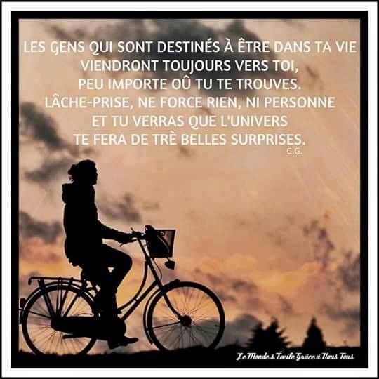 CITATION