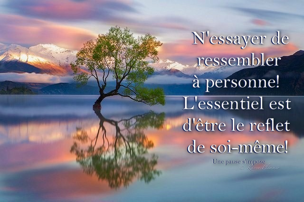 Citation