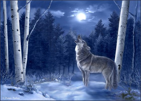 Loup