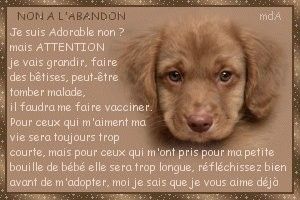 Non à l'abandon!!