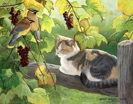 Chat de Persis Clayton Weirs