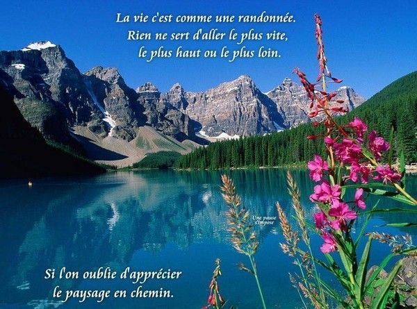 Citation