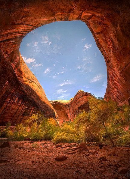 De Marc Adamus