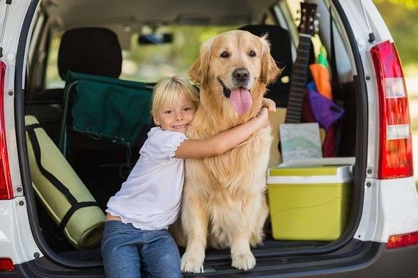 Une fillette et son chien