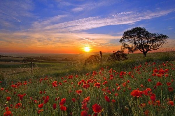 Coucher de soleil en campagne...