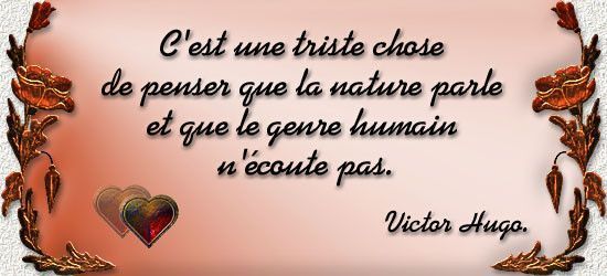 Citation