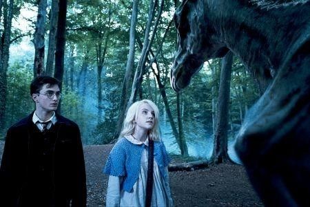 Harry Potter et l'ordre du phénix