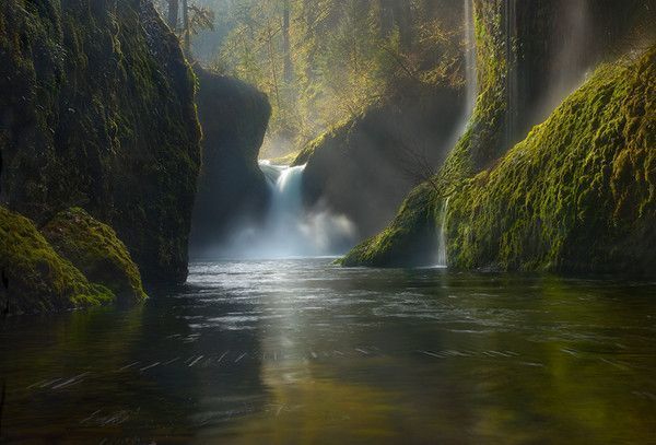 De Marc Adamus