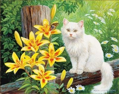 Chat de Persis Clayton Weirs