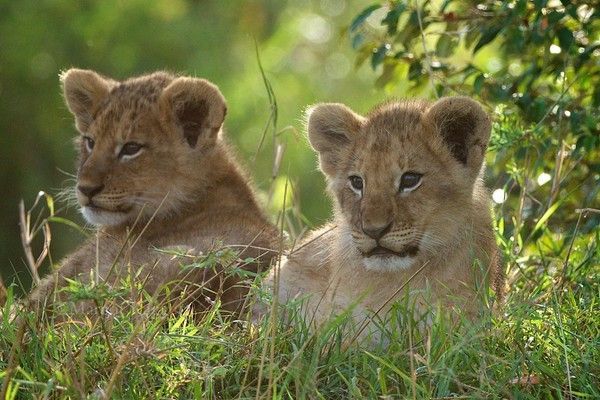 Photographie de Margot Raggett