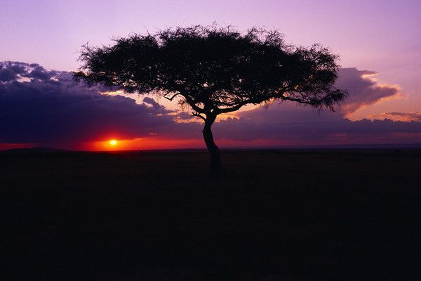 Coucher de soleil en Afrique du sud
