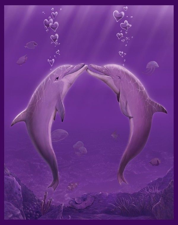 Dauphins