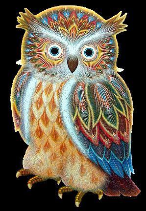 Hibou