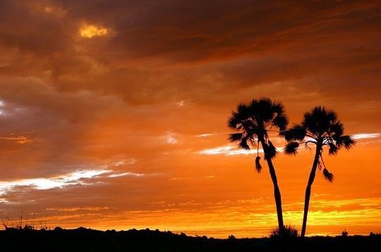 Coucher de soleil en Afrique du Sud