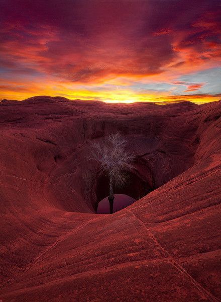 De Marc Adamus