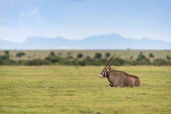 Photographie de Margot Raggett