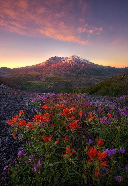 De Marc Adamus