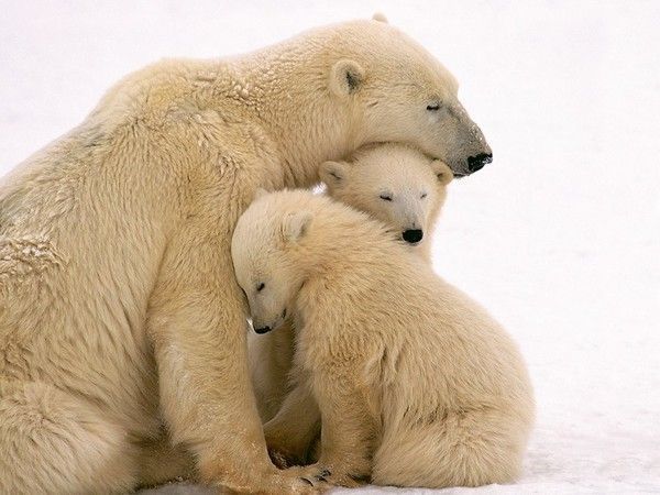 Pause tendresse