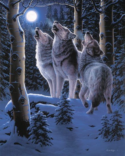 Loups