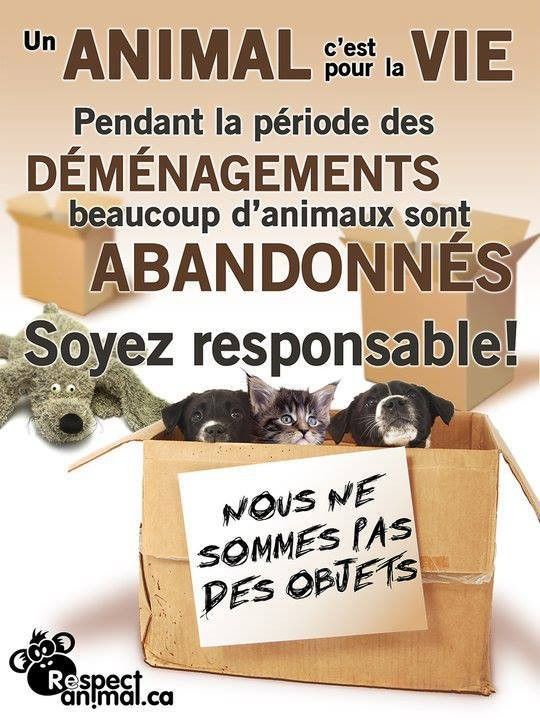 Pour la protection de nos amis les bêtes