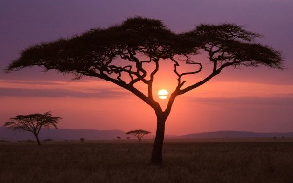 Coucher de soleil africain