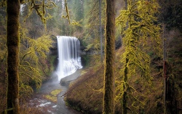 Etats-Unis, Oregon