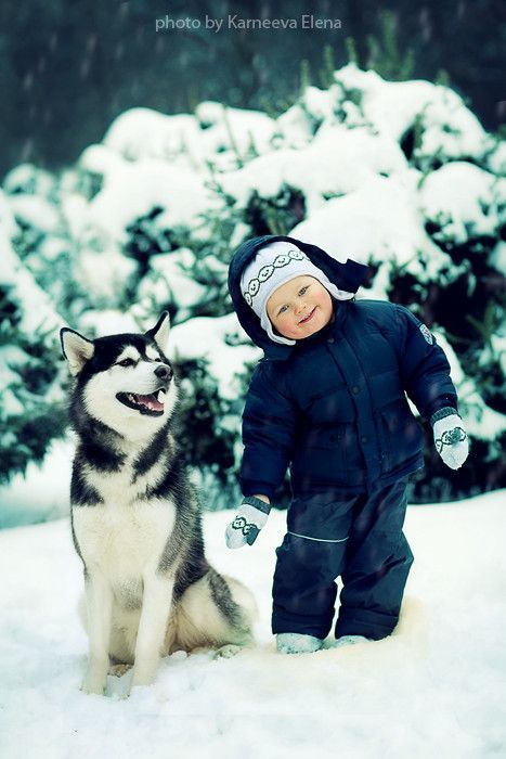 Enfant et animal