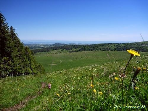 Auvergne