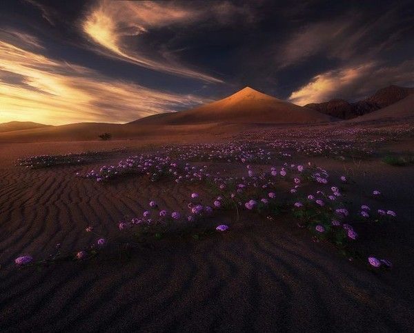 Photographie de Marc Adamus