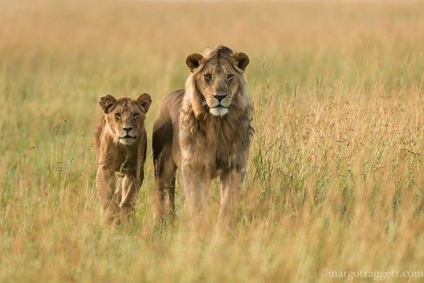 Photographie de Margot Raggett)