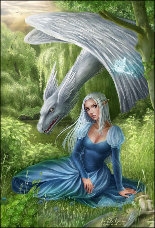 Dragon et elfe