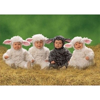 Bébés d'Anne Geddes