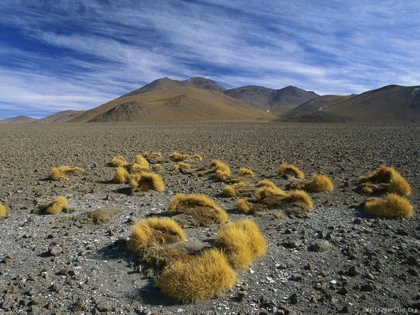 Bolivie