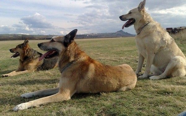 Tina, Lilou et Khéops