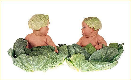 Bébés d'Anne Geddes