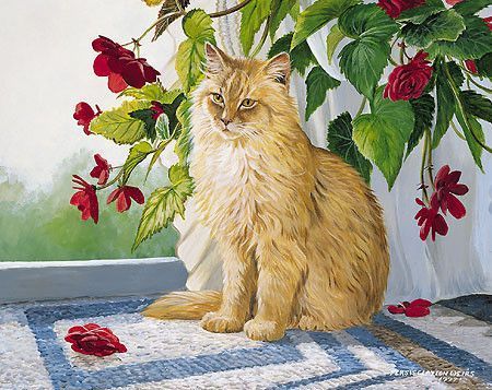 Chat de Persis Clayton Weirs