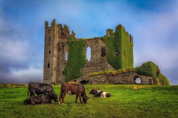 Chateau en Irlande