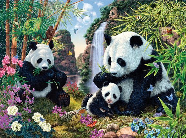 Pandas