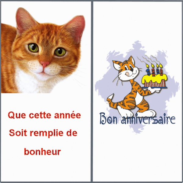 Bon anniversaire !