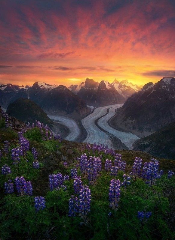 Photographie de Marc Adamus