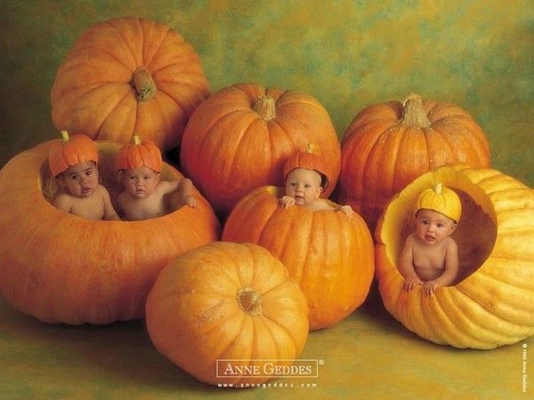 Bébés d'Anne Geddes