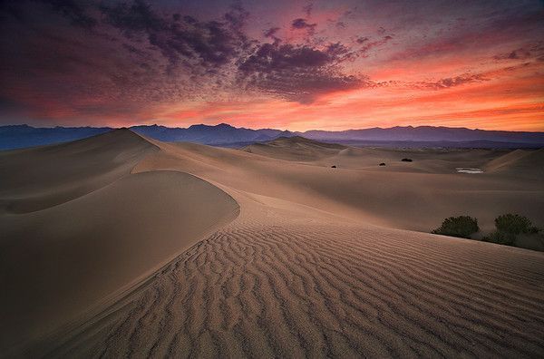 De Marc Adamus