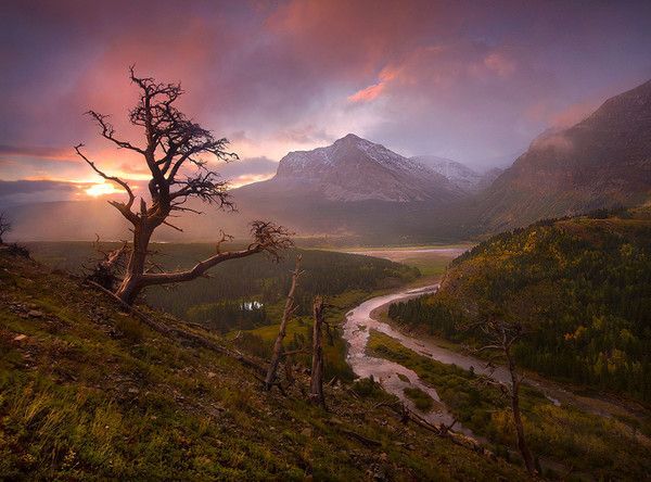 De Marc Adamus