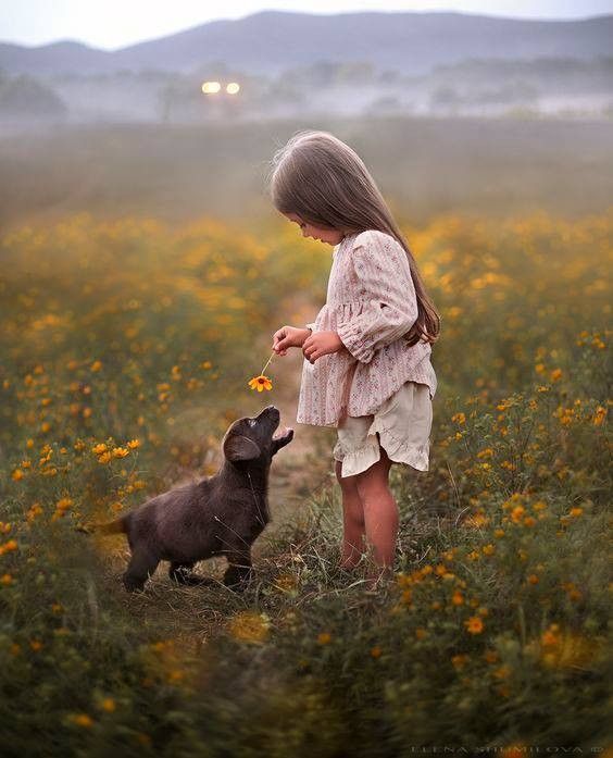 Une fillette et son chien