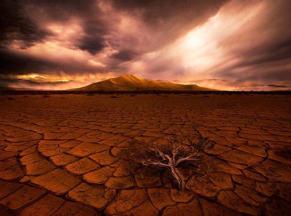 De Marc Adamus