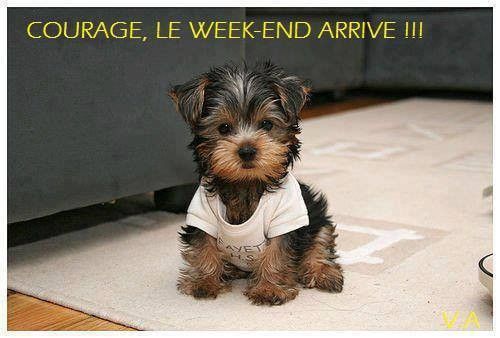 Bon week-end!