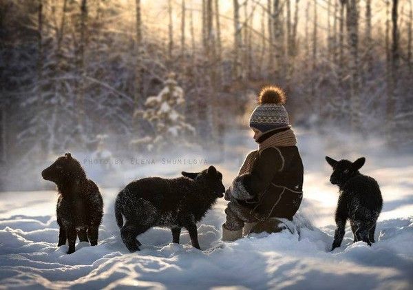 Photo d'Elena Shumilova