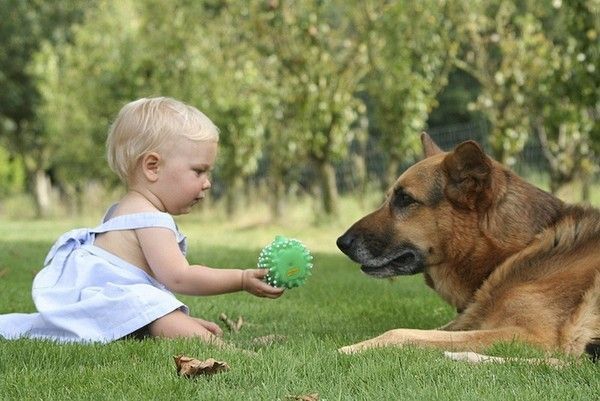 Bébé et chien