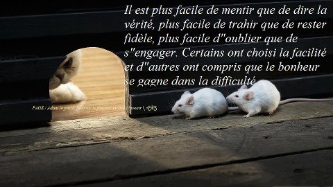 Citation